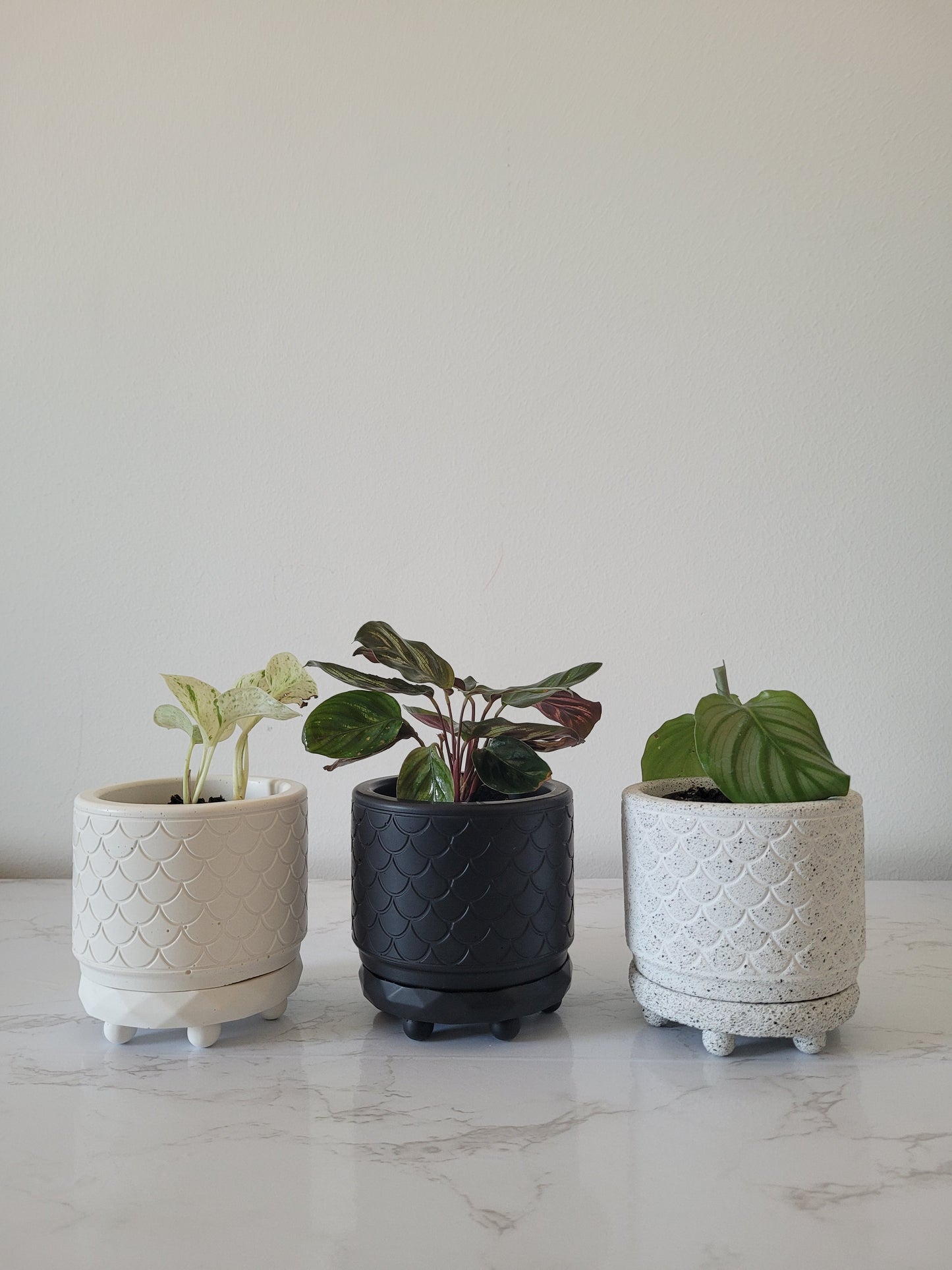 Pandoréa - Grey Granite