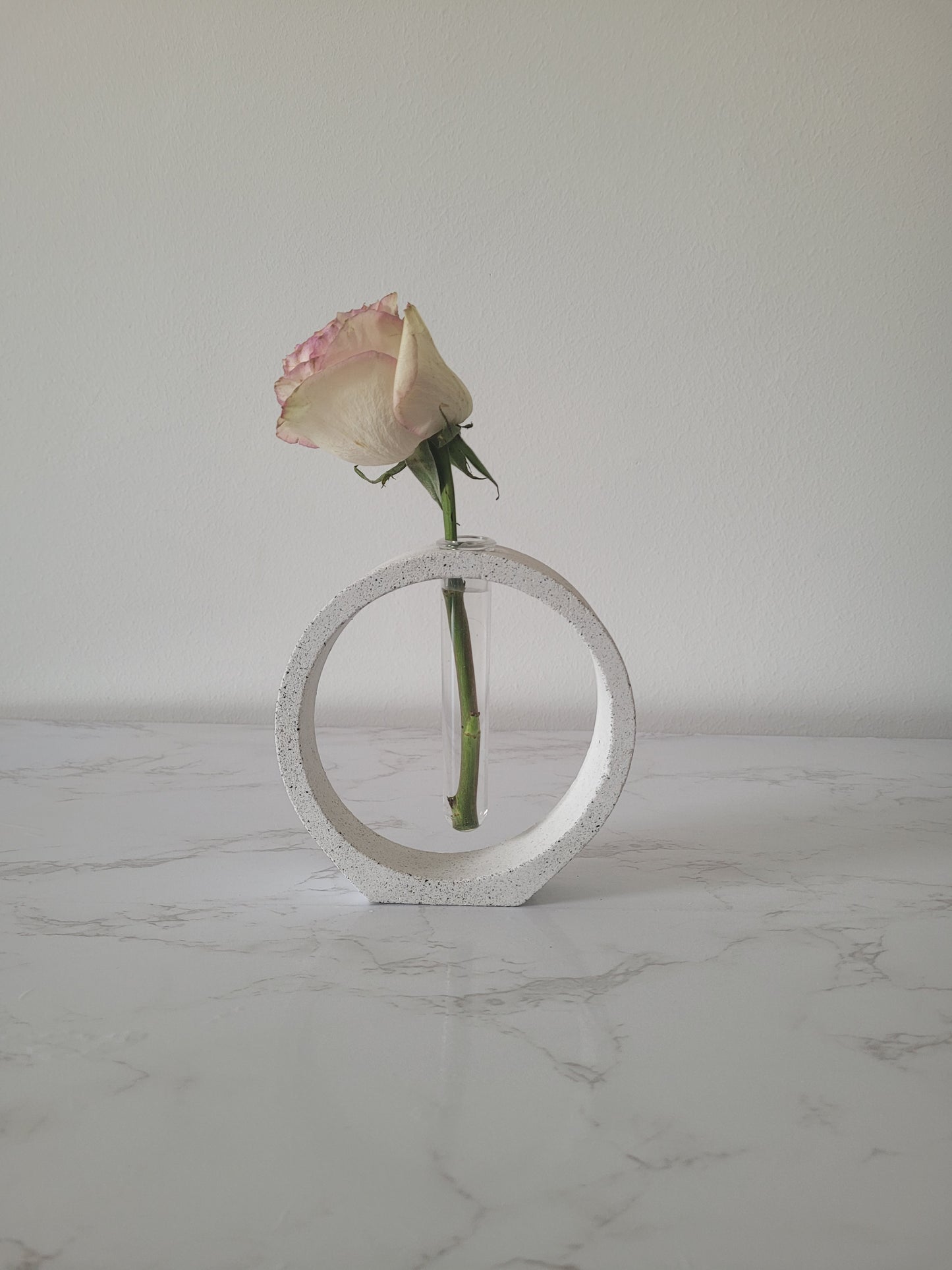 Anémone - Grey granite