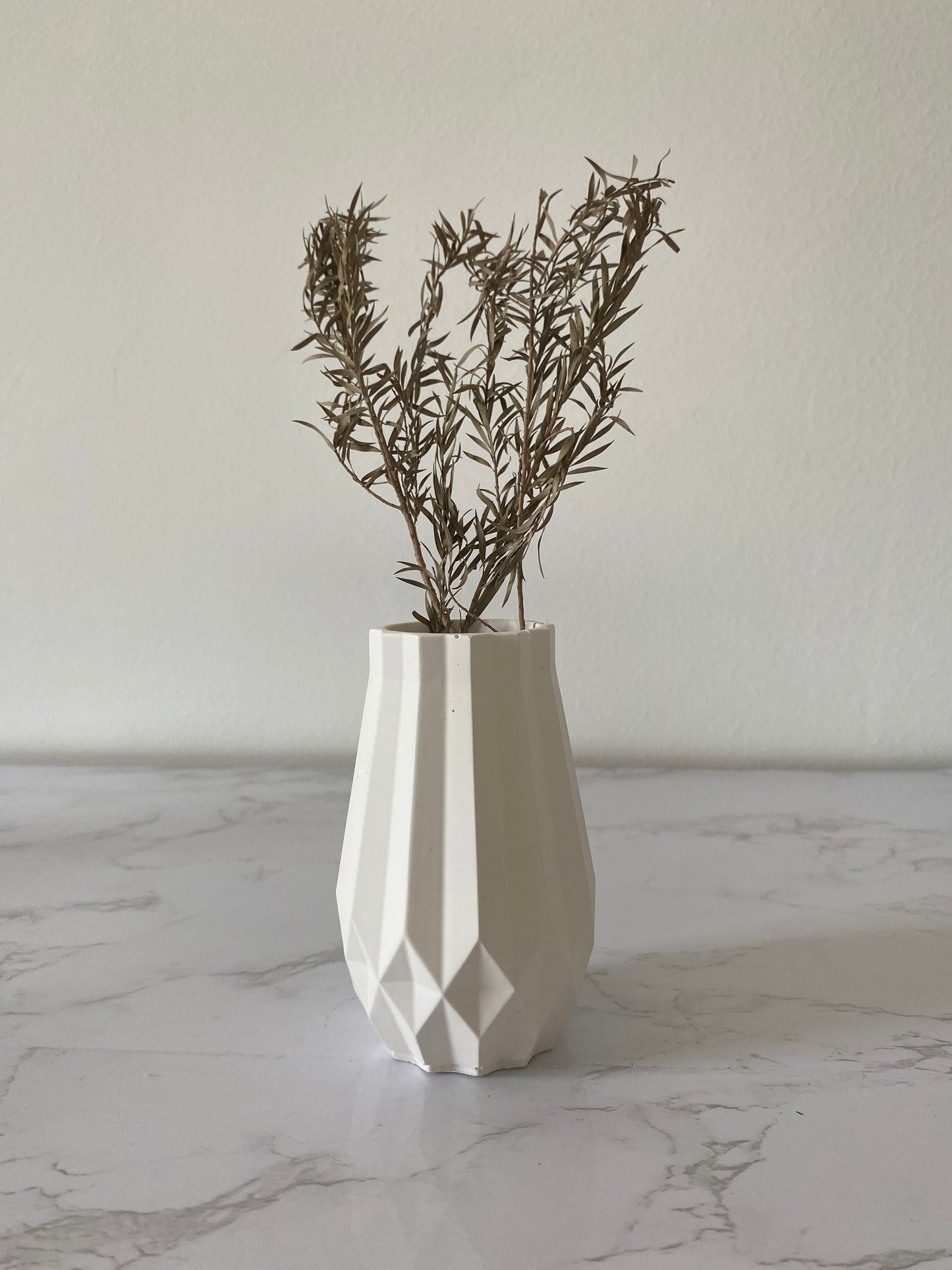 Magnolia - Blanc