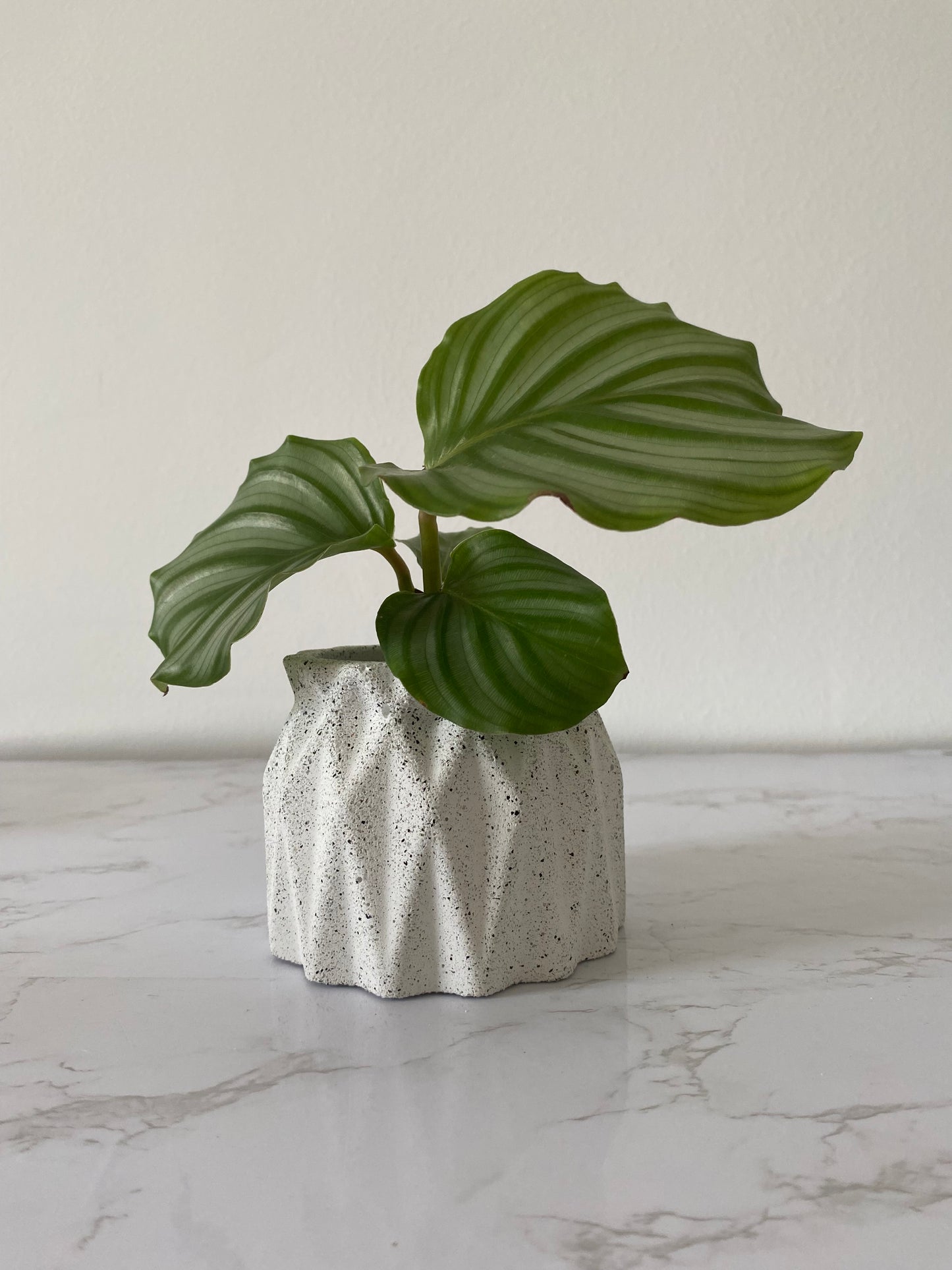 Lys - Grey Granite